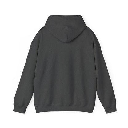 Cute Gamer Panda Hoodie – Adorable Panda Playing Video Games & Soccer Graphic Sweatshirt