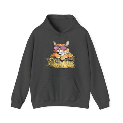 Cat on Hay Hoodie — Cool Cat Wearing Sunglasses Graphic Sweatshirt