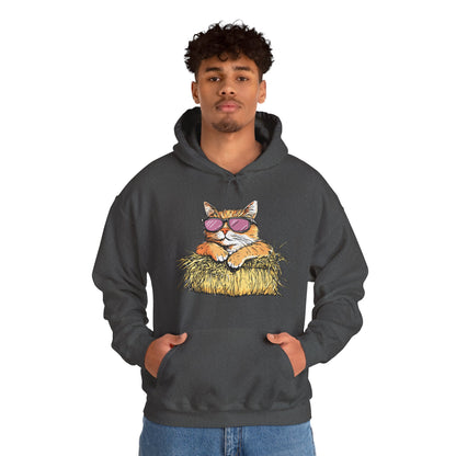 Cat on Hay Hoodie — Cool Cat Wearing Sunglasses Graphic Sweatshirt