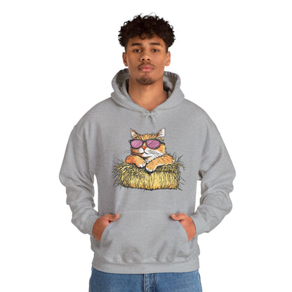 Cat on Hay Hoodie — Cool Cat Wearing Sunglasses Graphic Sweatshirt