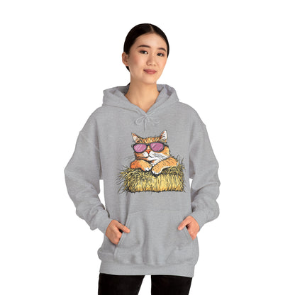 Cat on Hay Hoodie — Cool Cat Wearing Sunglasses Graphic Sweatshirt