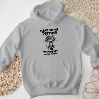 Please Do Not Disturb Cat Unisex Hoodie – Funny Grumpy Sweatshirt