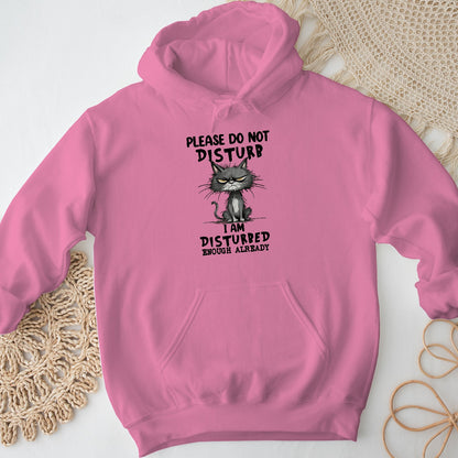 Please Do Not Disturb Cat Unisex Hoodie – Funny Grumpy Sweatshirt