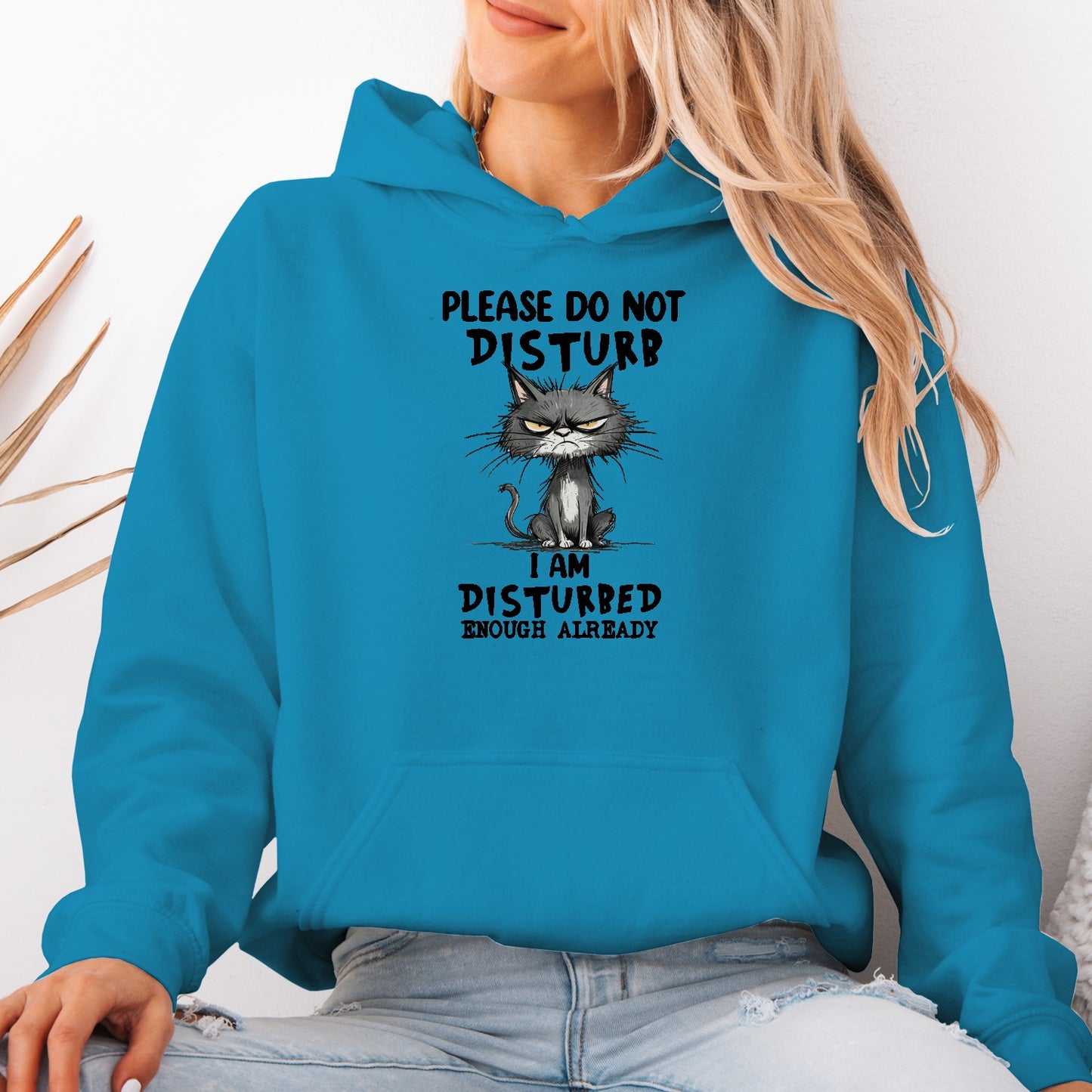 Please Do Not Disturb Cat Unisex Hoodie – Funny Grumpy Sweatshirt