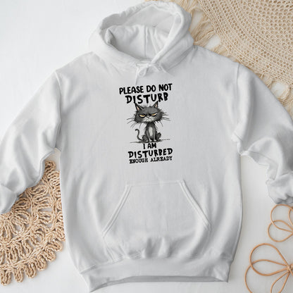Please Do Not Disturb Cat Unisex Hoodie – Funny Grumpy Sweatshirt