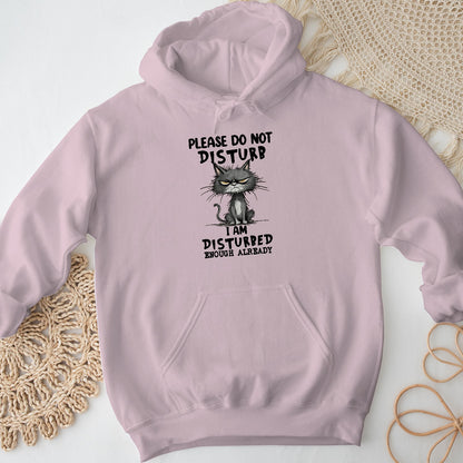 Please Do Not Disturb Cat Unisex Hoodie – Funny Grumpy Sweatshirt