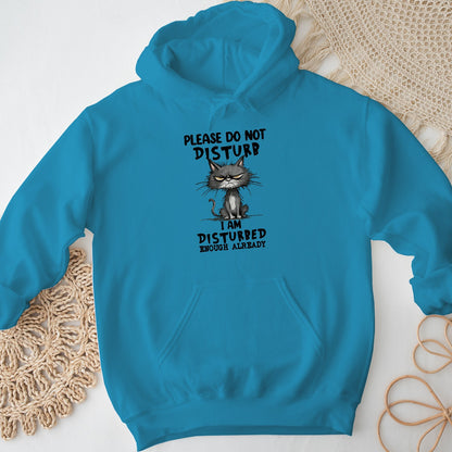 Please Do Not Disturb Cat Unisex Hoodie – Funny Grumpy Sweatshirt