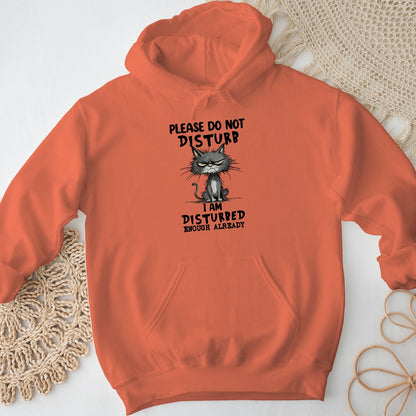 Please Do Not Disturb Cat Unisex Hoodie – Funny Grumpy Sweatshirt