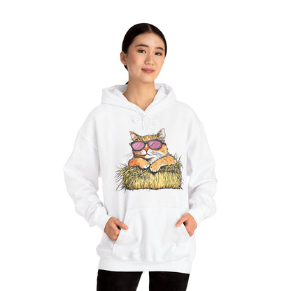 Cat on Hay Hoodie — Cool Cat Wearing Sunglasses Graphic Sweatshirt
