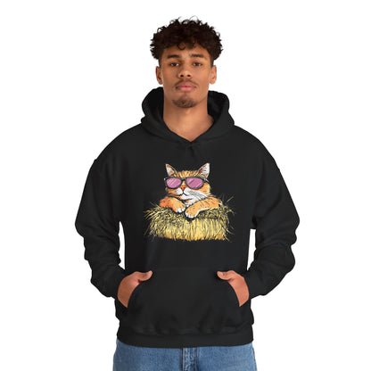 Cat on Hay Hoodie — Cool Cat Wearing Sunglasses Graphic Sweatshirt