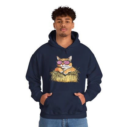 Cat on Hay Hoodie — Cool Cat Wearing Sunglasses Graphic Sweatshirt