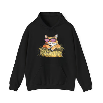Cat on Hay Hoodie — Cool Cat Wearing Sunglasses Graphic Sweatshirt