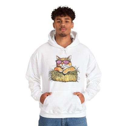 Cat on Hay Hoodie — Cool Cat Wearing Sunglasses Graphic Sweatshirt