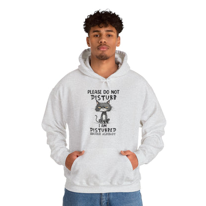 Please Do Not Disturb Cat Unisex Hoodie – Funny Grumpy Sweatshirt